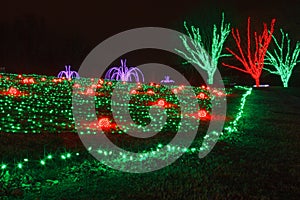 Christmas Festival of Lights