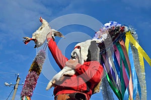 Christmas festival in romanian Orlovka Kartal village,Bessarabia. Good spirit Moshul holding a hen.He wears a mask made of rabbi