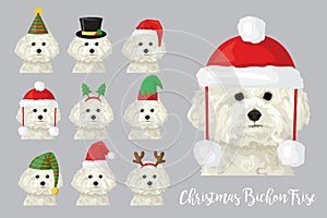Christmas festive bichon frise dog wearing celebration hats