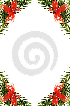 Christmas festive border with pine tree