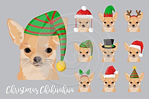 Christmas festive chihuahua dog wearing celebration hats