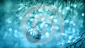 Christmas Fir Blue Holiday Background