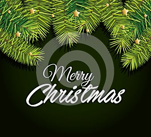 Christmas fir decoration card