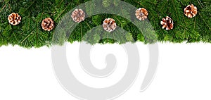 Christmas fir decoration on white