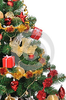 Christmas fir tree