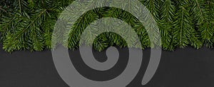 Christmas fir tree on black background