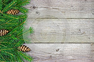 Christmas fir tree branch on rustic