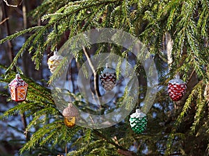 Christmas fir tree close up. Christmas tree on the street.