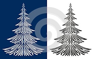 Christmas Fir Tree Contours