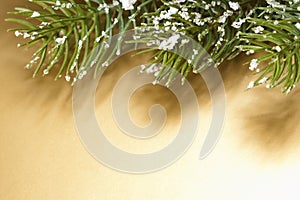 Christmas fir tree with decoration