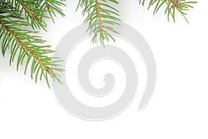 Christmas fir tree with decoration