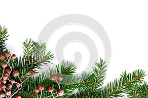 Christmas fir tree with decoration