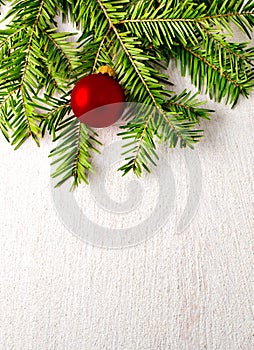 Christmas fir tree on white background.