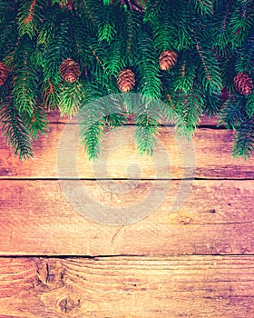 Christmas fir tree on wooden background