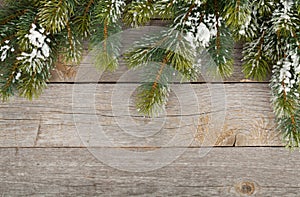 Christmas fir tree on wooden board background