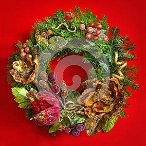 Christmas fir tree wreath over red background