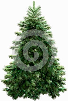 Christmas firtree with clipping path