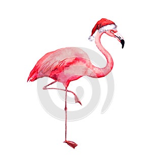 Christmas flamingo in red santa`s hat. Watercolor bird photo