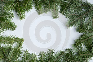 Christmas fletlay from spruce twigs on a white background