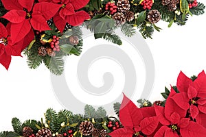 Christmas Floral Border