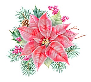 Christmas floral decor. Hand drawing watercolour botanical illustration.