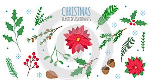 Christmas floral design elements set. Christmas design constructor. Poinsettia, mistletoe, fir, pine branches, holly berries, rowa