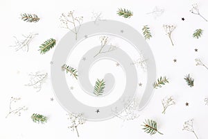 Christmas floral pattern. Winter composition of green spruce tree branches, baby`s breath flowers, Calocephalus brownii photo