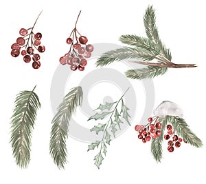 Christmas Florals Clipart set, Watercolor Winter Holiday Party decoration, Pine Tree, Berries illustration