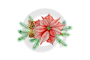 Christmas flower bouquet arrangement watercolor painting illustration and clipping path