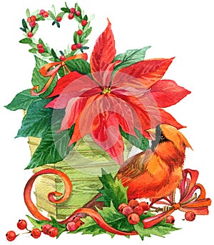 Christmas flower and cute birds background. watercolor illustration