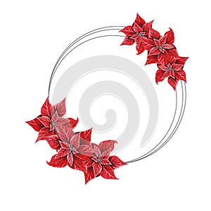 Christmas flower poinsettia round frame, hand drawn watercolor illustration isolated on white background. Floral illustration for