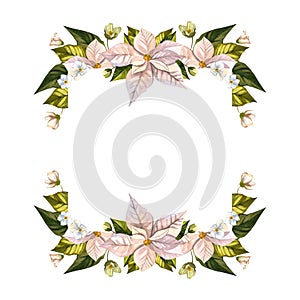 Christmas flower poinsettia. Watercolor illustrations on an isolated white background. Square format. Template for the