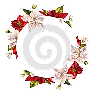 Christmas flower poinsettia. A wreath of red and white flowers. Watercolor illustrations on an isolated white background