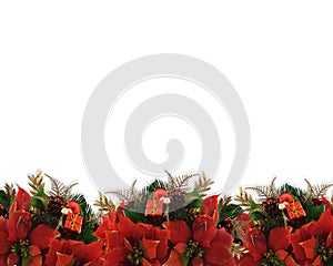 Christmas flowers border poinsettias photo