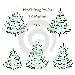 Christmas forest . Coniferous Forest. Winter Christmas Forest of fir trees silhouette for printing. EPS 10