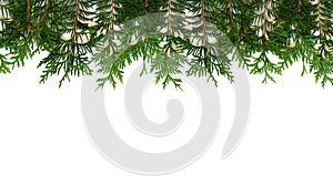 Christmas frame. Fir tree branch on white background. Top view with copy space