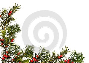 Christmas frame isolated