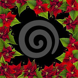 Christmas frame from poinsettia flowers