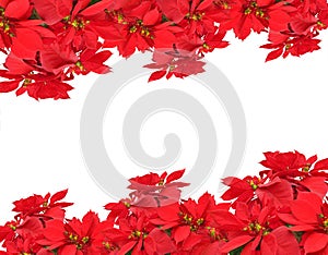 Christmas frame from poinsettias