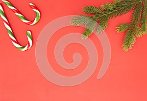 Christmas frame on red background. Green fir branches and candy canes. Top view, flat lay. Copy space for text