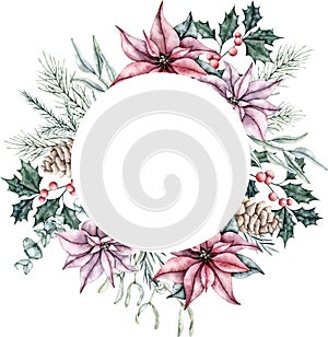 Christmas frame of red poinsettia flower, pine cone, Mistletoe or Viscum, emerald spruce branch, Ilex, pine twig