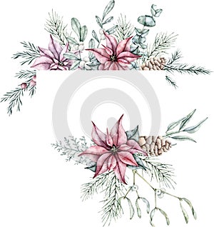 Christmas frame of red poinsettia flower, pine cone, Mistletoe or Viscum, emerald spruce branch, Ilex, pine twig