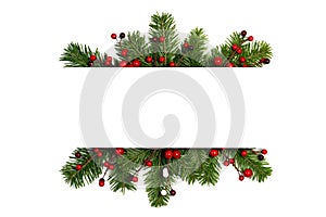 Christmas frame of tree branches