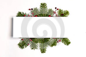 Christmas frame of tree branches