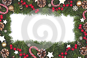 Christmas frame of tree branches