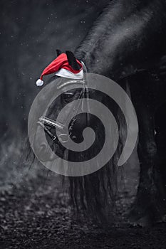 Christmas friesian stallion horse with long mane in red cap