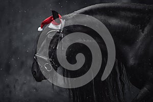 Christmas friesian stallion horse with long mane in red cap in winter during snowfall