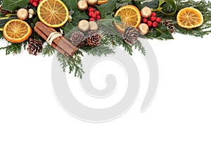 Christmas Fruit Border