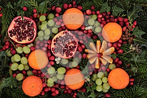 Christmas Fruit and Flora