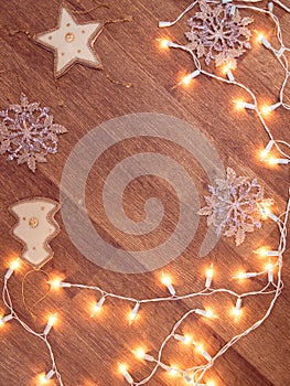 Christmas garland lights